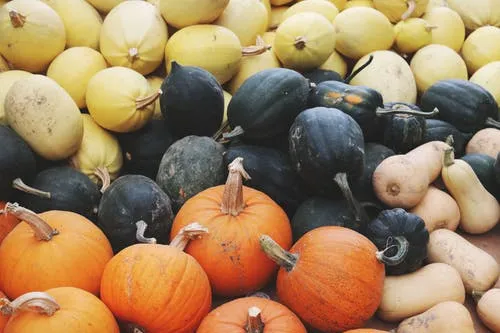 pumpkins