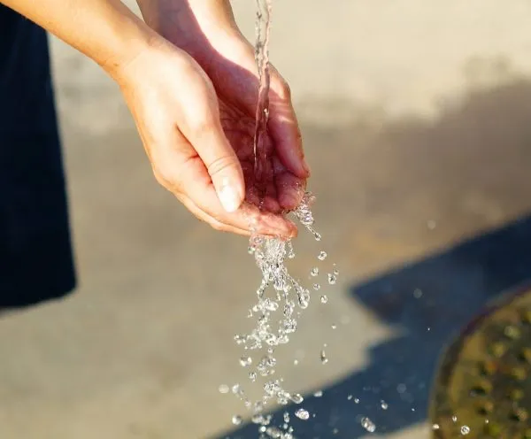 Water, the elixir of life